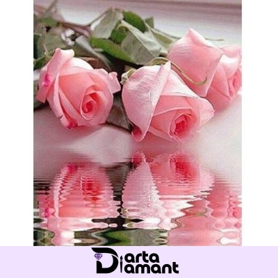 ECO Goblen cu diamante Trandafiri roz 2
